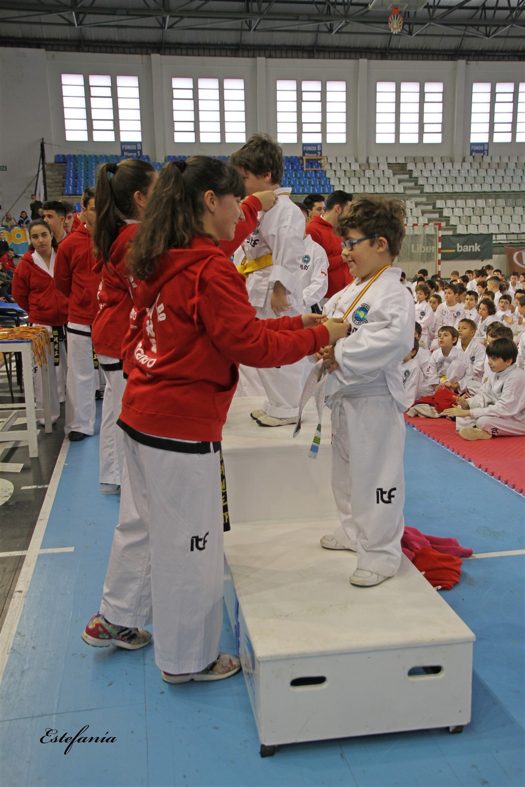Taekwondo (240).jpg